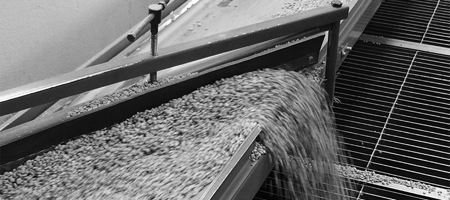 coffee-processing