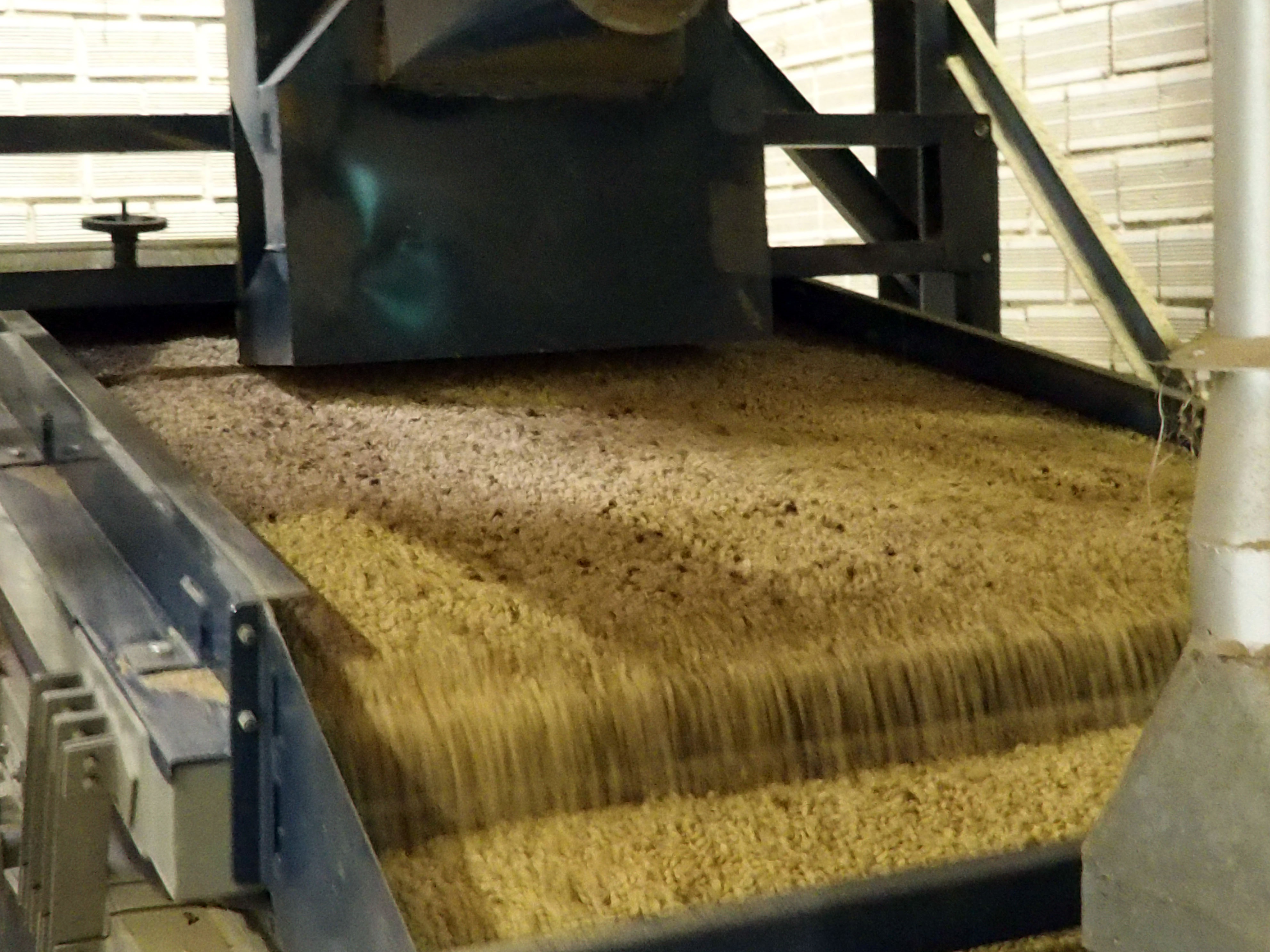 Processing coffee beans