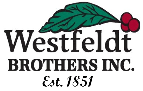 Westfeld Brothers