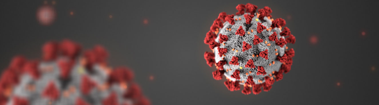 coronavirus