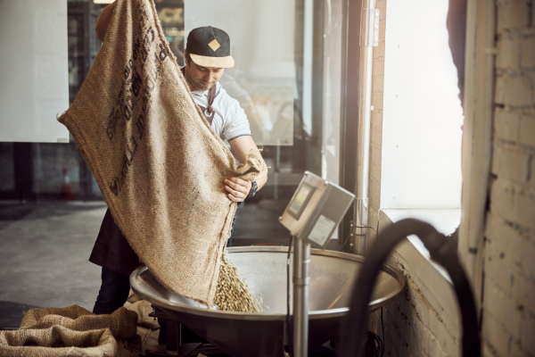 A coffee roaster weighing green coffee at a roastery