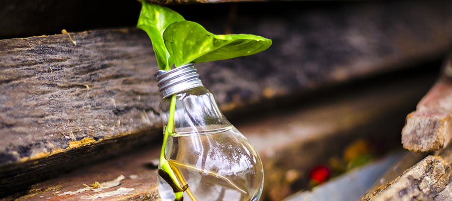sustainability spotlight