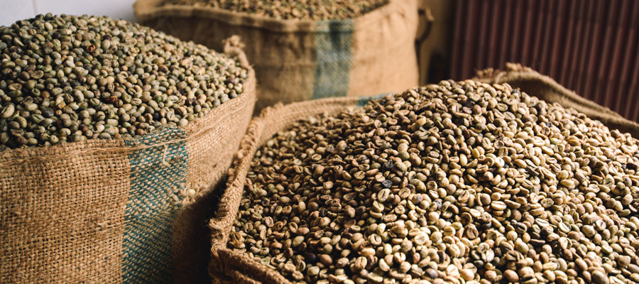 coffee-bags-900x400